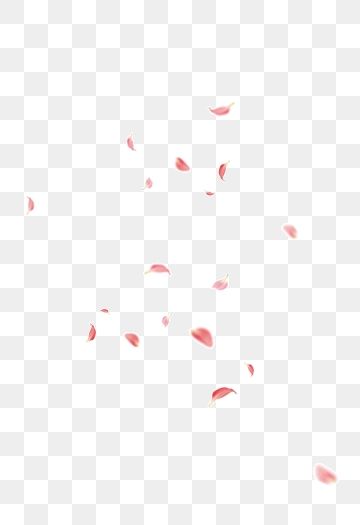 Sakura Petals Falling, Lockdown Art, Rose Petals Falling, Petals Falling, Cherry Blossom Petals, Fall Banner, Romantic Background, Cherry Blossom Festival, Beautiful Pink Roses