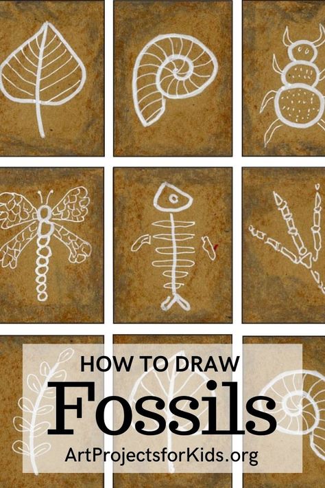 Learn how to draw a fossil, and make it look like it really is imprinted in stone. White lines on brown paper give them a much more realistic look. #howtodraw #tutorial #drawing #drawingtutorial #arttutorial #artprojectsforkids #howtodrawforkids Fossils Drawing, Fossil Drawing, Fossil Illustration, Fossils Lesson, Diy Fossils, Dinosaur Art Projects, Fossils Activities, Geology Art, Fossil Art