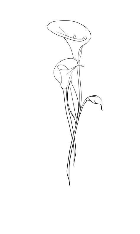 One Line Flower Tattoo Simple, Calla Lily Fine Line Tattoo, Calla Lily Drawing Simple, Calla Lily Line Art, Calla Lily Line Drawing, Small Lily Tattoos For Women, Cala Lillies Tattoo, Calla Lily Drawing, Lilly Flower Drawing