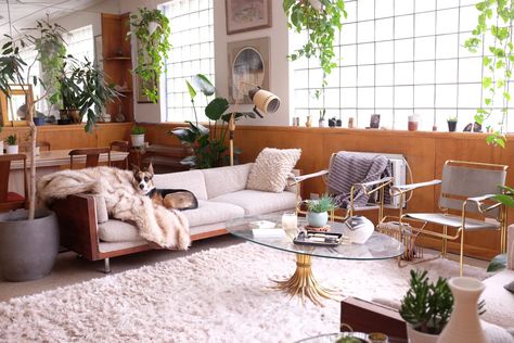 This former dentist's office from the 1940s features original wood paneling, glass block, built-in shelves, and architectural ceiling tiles. Denver Apartments, Gravity Home, Mid Century Living, Living Room Photos, Mid Century Modern Living, Glass Block, Loft Design, Apartment Therapy, Interior Design Bedroom