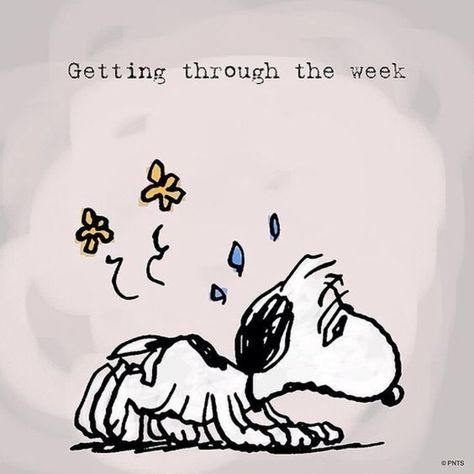 Peanuts Gang Quotes, Gang Quotes, Peanuts Quotes, Labor Day Quotes, Snoopy Funny, Snoopy Images, Peanuts Cartoon, Peanuts Characters, Snoopy Quotes