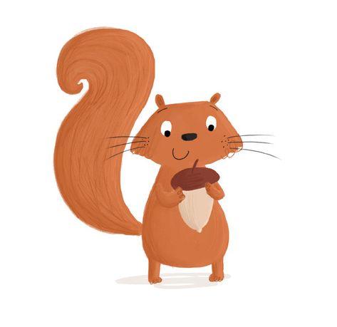 Today I'm drawing squirrels! Squirrel Pics, M Drawing, Squirrel Illustration, Squirrel Art, Hampshire Uk, Cute Squirrel, Childrens Illustrations, Squirrels, Children's Book Illustration