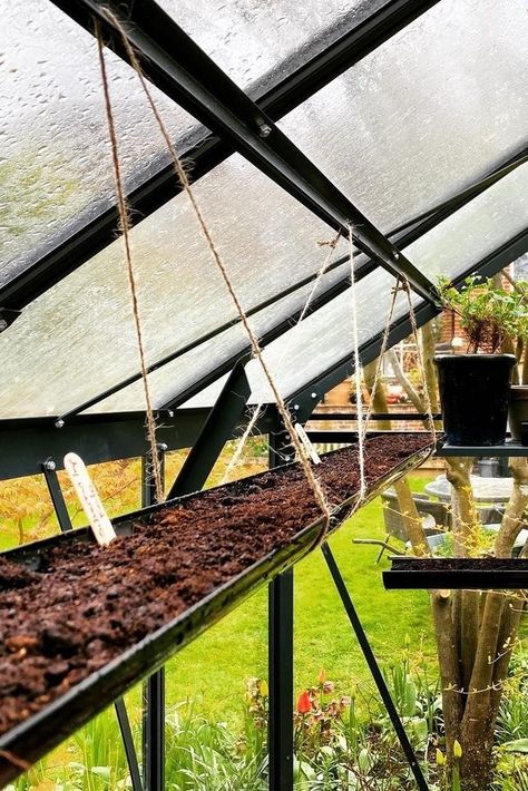 Greenhouse Hanging Baskets, Polytunnel Ideas Diy, Greenhouse Shelf Ideas, Greenhouse Interiors Layout, Backyard Greenhouse Diy, Greenhouse Set Up Inside, Harvesting Garden, Greenhouse Layout, Greenhouse Shed Combo