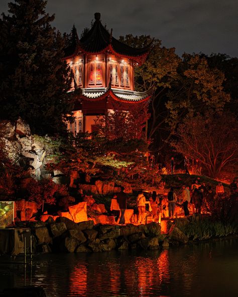 🇨🇦 We visited the Gardens of Light in @montreal at @espacepourlavie. Every year around this time we can visit the Botanical Garden and enjoy a nice evening walk. All photos #shotonlumix @lumix S5IIx #mtl #mtlmoments #gardensoflight #explorecanada #imagesofcanada #lumixquebec Norfolk Botanical Garden, Garden Of Lights, Garden Christmas, Evening Walk, Explore Canada, Botanical Garden, Norfolk, Botanical Gardens, Montreal