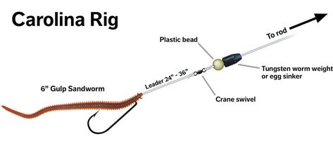 Light Tackle Surf Perch Surf Fishing Tips, Surf Fishing Rigs, Catfish Rigs, Carolina Rig, Drop Shot Rig, Fishing 101, Salt Water Fishing, Pike Fishing, Surf Fishing