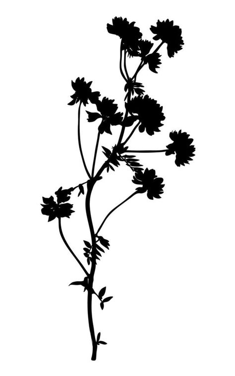 Wildflower silhouette isolated on white background. Meadow flower. Vector illustration. Wild Flowers Silhouette, Floral Sillouhette, Wildflower Silhouette, Flowers Silhouette, Wildflower Illustration, Flower Vector Illustration, Vector Brush, Flower Drawings, Flower Vector