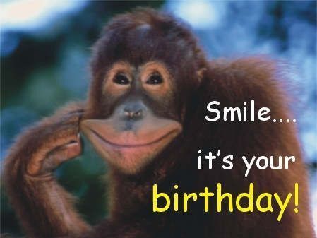 Smile It Is Your Birthday                                                       …                                                                                                                                                                                 More Birthday Wishes For Men, Funny Wishes, Happy Birthday Man, Funny Happy Birthday Wishes, Birthday Wishes For Sister, Happy Birthday Friend, Birthday Wishes Funny, Happy Birthday Meme, Best Birthday Wishes