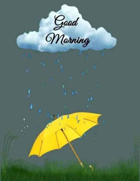 Good Morning Rain, Rainy Good Morning, Good Morning Rainy Day, Good Morning Quotes In Hindi, Morning Quotes In Hindi, Gd Mrng, Good Morning Status, Morning Status, Good Morning Greeting Cards