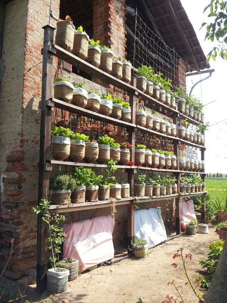 Self watering vertical garden with recycled water bottles Vertical Vegetable Gardens, Vertical Vegetable Garden, Vertical Herb Garden, Vertical Garden Diy, Urban Agriculture, Vertical Gardening, Green Things, Vertical Gardens, Community Garden