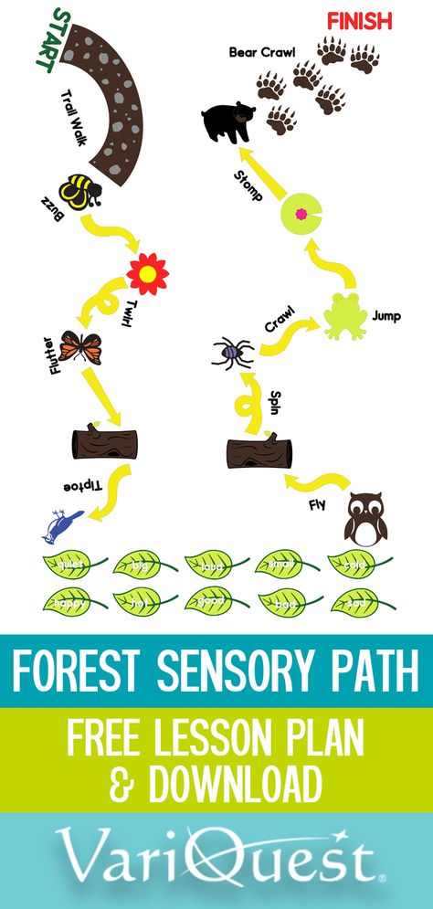 Check out the VariQuest Blog to learn about how you can get access to the Forest Sensory Path for your Cutout Maker and a lesson pioneered by Cathy Henry of The Curriculum Corner free! Paint Obstacle Course, Sensory Path Svg Free, Sensory Paths Free Printable, Printable Sensory Path, Cricut Sensory Path, Sensory Wall Ideas Classroom Preschool, Free Sensory Path Printables, School Sensory Path, Sensory Hallway Path