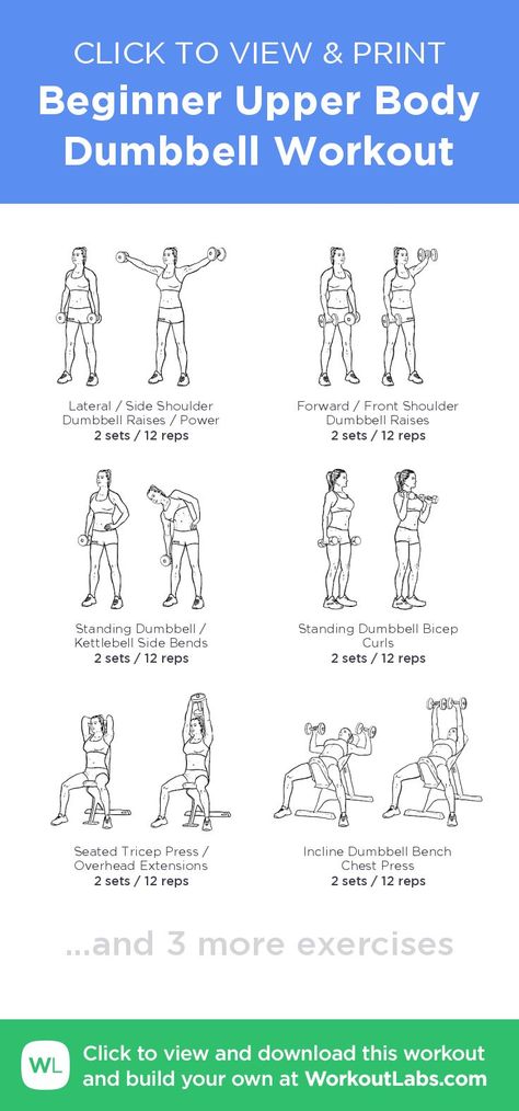 Dumbbell Workout For Beginners, Upper Body Dumbbell, Upper Body Dumbbell Workout, Upper Body Workout For Women, Dumbbell Workouts, Workout Labs, Workout Man, Arm Workout Women, Dumbell Workout