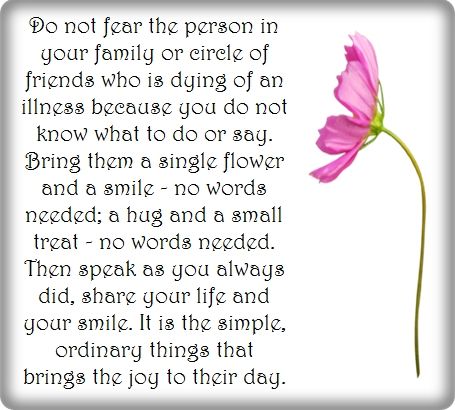 Quotes For Terminally Ill Friends, Soul Keeper, Young Quotes, Ab Challenge, Terminal Illness, Life Well Lived, Do Not Fear, Speed Up, My Way