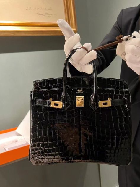 Luxury Bags Hermes, Hermes Crocodile Bag, Birken Bag, Hermes Ostrich, Hermes Crocodile, Kelly Hermes, Communication Center, Hermes Picotin, Lizard Skin