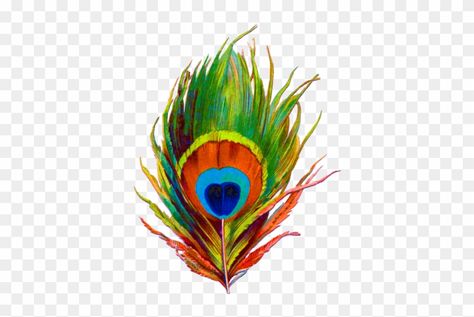 More Pankh, Flute Tattoo, Feather Png, Feather Clip Art, Photoshop Png, Hindi Font, Peacock Feather Tattoo, Feather Vector, Janmashtami Decoration