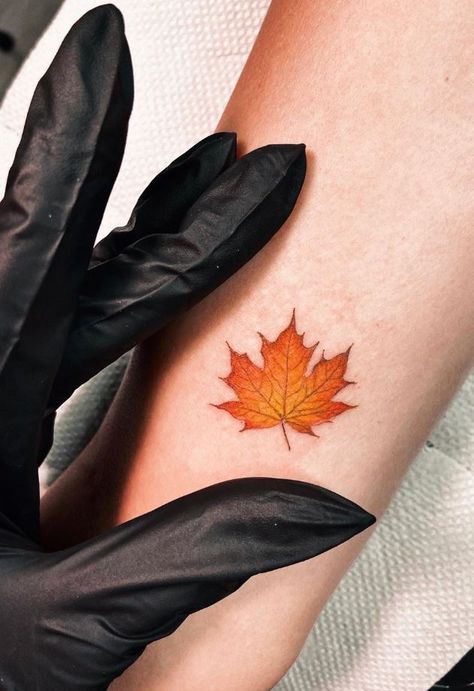 Small Leaf Tattoo Chinar Leaf Tattoo, Autumn Leaves Tattoo Small, Fall Leaf Tattoo Autumn, Fall Themed Tattoos For Women, Canadian Leaf Tattoo, Pumpkin And Fall Leaves Tattoo, Fall Leaf Tattoo Small, Canada Leaf Tattoo, Fall Leaves Tattoo Autumn