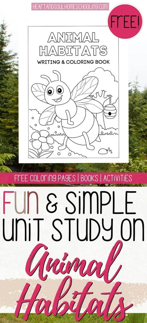 Teach your kids about animal habitats with this habitats unit study, including free printable coloring pages. via @destinyblogger Habitats Activities For Kids, Teaching Habitats, Animal Habitats Preschool, Free Science Printables, Unit Study Ideas, Habitat Activities, Animals Activities, Homeschool Science Curriculum, Homeschool Holidays