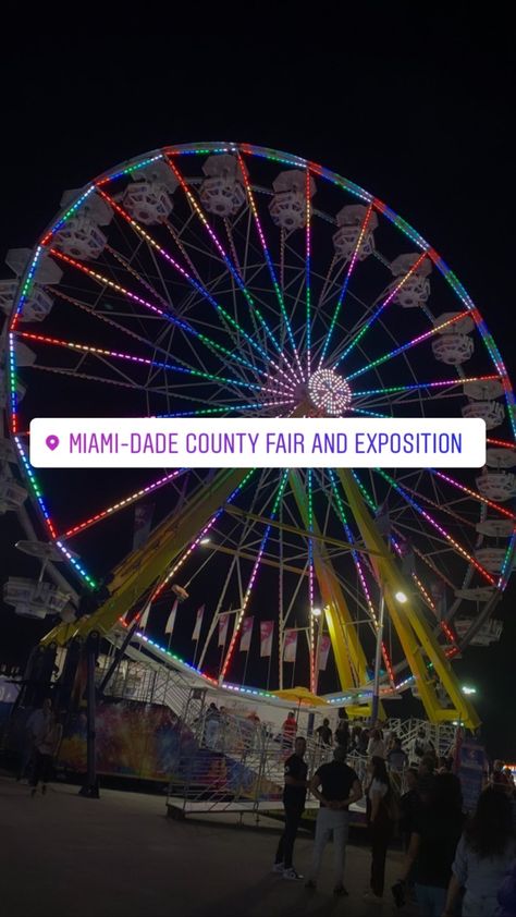 Fair Pics, Miami Dade County, Miami Dade, County Fair, Miami, Fair Grounds, Travel, Quick Saves