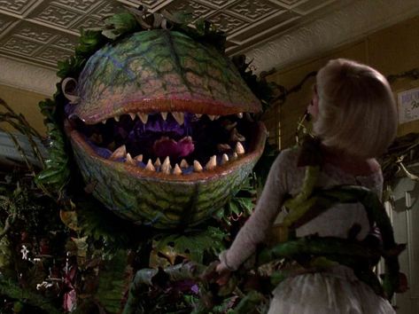 Why 'Little Shop of Horrors' Is Actually Uniquely Traumatizing - Thrillist Shiny Moana, Lil Shop Of Horrors, Suddenly Seymour, Chinese Plants, Rick Moranis, Frank Oz, Audrey Ii, Plant Monster, Roger Corman