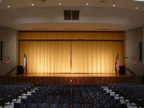 Precure Doki Doki, High School Auditorium, Playlist Pictures, Doki Doki Precure, Anderson Aesthetic, School Auditorium, Highschool Au, Auditorium Design, School Building Design