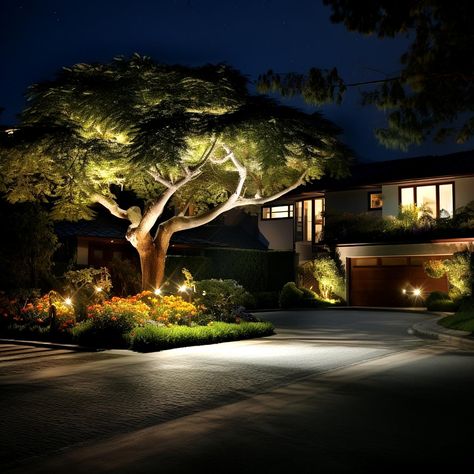 Front Sidewalk Landscaping, Sidewalk Landscaping Ideas, Side Of Driveway Landscaping, Driveway Landscaping Ideas, Sidewalk Landscaping, Lit Trees, Beautiful Driveways, Gravel Pathway, Resin Driveway