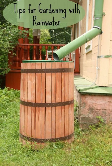 Tips for Gardening with Rainwater Rain Barrel System, Sustainable Garden Design, Ways To Conserve Water, Water From Air, Rainwater Harvesting System, Rainwater Harvesting, Rain Barrel, Rain Water Collection, Sustainable Garden