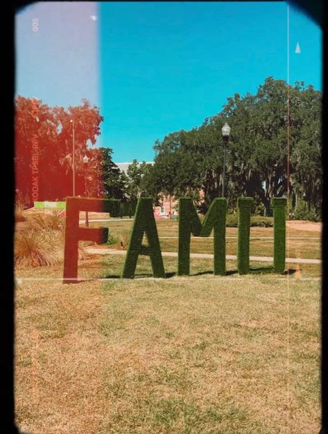 Famu College Aesthetic, Famu College, College Vision Board, Grad Shoot, Beach Wedding White, 2024 Goals, Vision Board Photos, Future Dreams, College Aesthetic