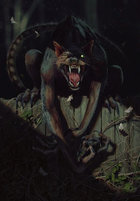 Werecat | Witcher Wiki | Fandom In The Dark, Gif, Deviantart