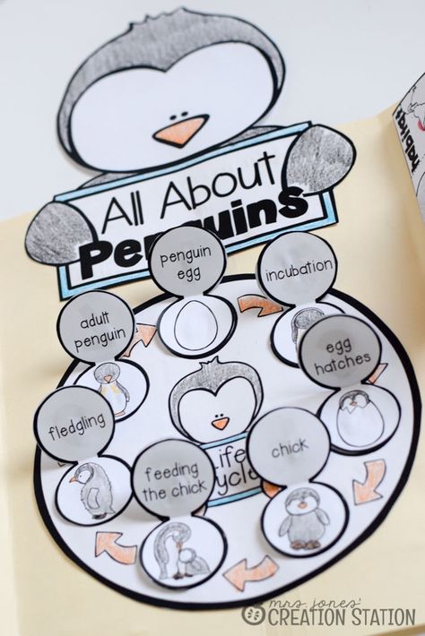 Penguin Science Lapbook - Mrs. Jones' Creation Station Kyoto Aquarium, Penguin Science, Penguin Life Cycle, Penguins Project, Penguin Unit, Science Penguin, Science Printables, Life Cycle Craft, Animal Life Cycles