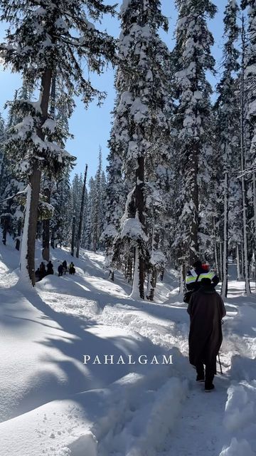 Kashmir Snowfall, Sonamarg Kashmir, Kashmir Winter, Frozen Scenes, Kashmir Srinagar, Dal Lake, Mountains Snow, Snow Activities, Srinagar