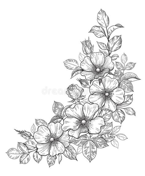 Hand Drawn Dog-Rose Bunch with Flowers and Leaves royalty free illustration Rose Bunch Drawing, Engraving Designs Ideas, Dogrose Tattoo, Flower Bunch Drawings, Rose Bunch Tattoo, Flower Composition Drawing, Flower Corner Design, Bunch Of Flowers Tattoo, Pyrography Hats