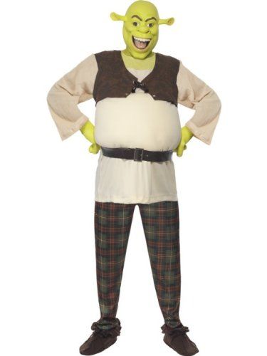 Shrek Fancy Dress, Shrek And Fiona Costume, Fiona Costume, Costumes For Work, Shrek Costume, Halloween Costumes For Work, Fairy Tale Costumes, Bff Halloween Costumes, Great Halloween Costumes