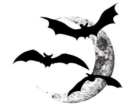 Bats Rib Tattoo, Full Moon And Bats Tattoo, Moon Bats Tattoo, Crescent Moon With Bats Tattoo, Bat And Moon Drawing, Bat Moon Tattoo, Moon With Bats Tattoo, Moon Bat Tattoo, Moon And Bats Tattoo