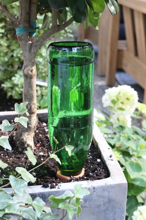 How to water the plants while you're away | Jones Design Company Diy Self Watering Plant Spikes, How To Self Water Outdoor Plants, Diy Plant Waterer, Plant Watering Hacks, Self Watering Planter Diy, Self Watering Bottle, Compost Garden, Plant Waterer, Watering Flowers