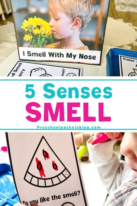 Want to teach the sense of smell during your 5 Senses week? Here is how I used scented markers and Jello to teach my kids about the sense of smell! 5 Senses Preschool, Scented Markers, Our Five Senses, 5 Senses Activities, Senses Preschool, My Five Senses, Senses Activities, The Five Senses, Sense Of Smell