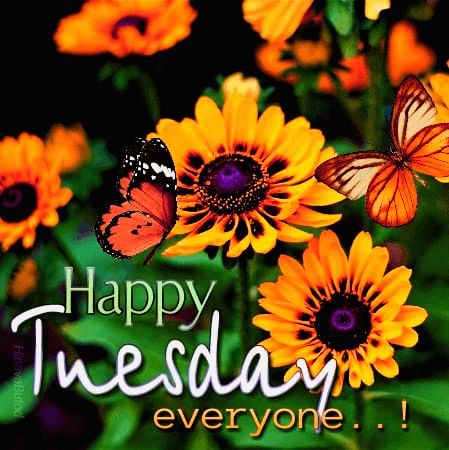 ᐅ Top 30  Happy Tuesday Images, Pictures, Photos, GIFs Happy Tuesday Butterfly Images, Happy Tuesday Fall Images, Happy Fall Tuesday, November Greetings, Happy Tuesday Meme, Monday Gifs, Happy Tuesday Pictures, Happy Tuesday Images, Meme Happy