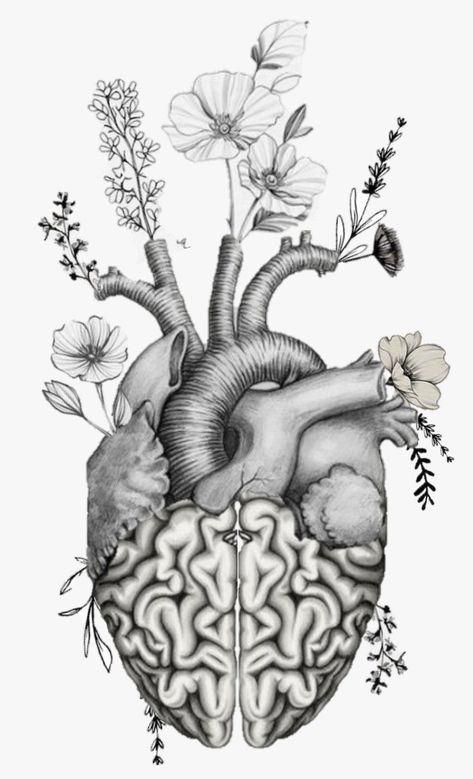 Anatomy And Nature Tattoo, Pot On Head Tattoo, Head And Heart Balance Tattoo, Realism Heart Tattoo, Anatomy Tattoo Sleeve, Half Heart Half Brain Tattoo, Brain And Heart Drawing, Anatomy Drawing Medical Art, Heart Tattoo Drawing