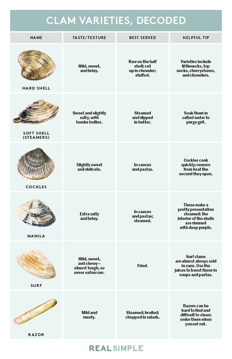 Types of Clams, Decoded | The lowdown on a half-dozen varieties of shellfish. Simple Chart, Culinary Lessons, Swordfish Recipes, Clam Bake, Clam Recipes, Food Charts, Food Info, Food Facts, Tempeh