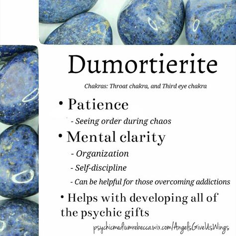 Dumortierite crystal meaning                                                                                                                                                                                 More Dumortierite Crystal Meaning, Dumortierite Crystal, Crystal Power, Gemstone Properties, Crystals Healing Properties, Spiritual Crystals, Flower Crystal, Gemstone Meanings, Crystal Therapy