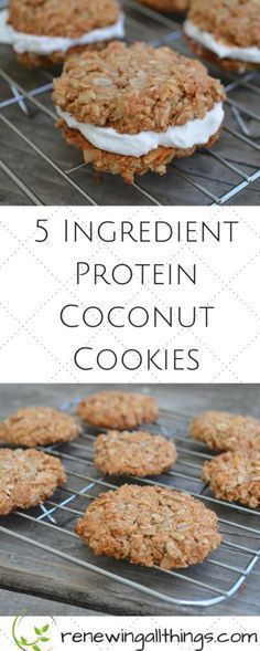 5 Ingredient Protein Coconut Cookies- gluten free, grain free dairy from vegan and paleo healthy cookies! These are amazing made with coconut flakes and sunflower seeds! Coconut Protein, Guilt Free Dessert, Protein Cookies, Coconut Cookies, Paleo Dessert, 5 Ingredient, Healthy Cookies, Protein Snacks, Gluten Free Cookies