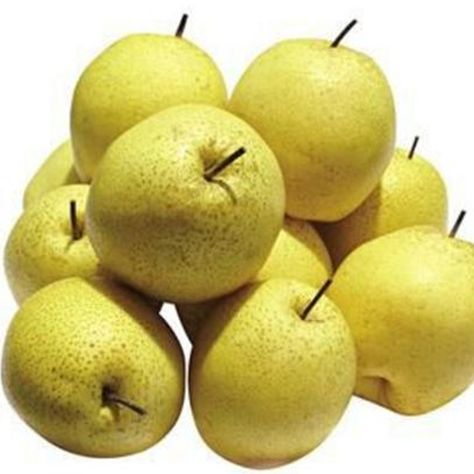 Snow pear, also known as Chinese pear or Asian pear, is a fruit native to China and widely grown in East Asia. It belongs to the Rosaceae family and is scientifically known as Pyrus pyrifolia. #Chinesepear #Freshpear #crownpear #crystalPear Snow Pear, Energizing Breakfast, Asian Pear, Yellow Skin, Harvest Time, East Asia, Pale Yellow, In The Flesh, Dining Experiences