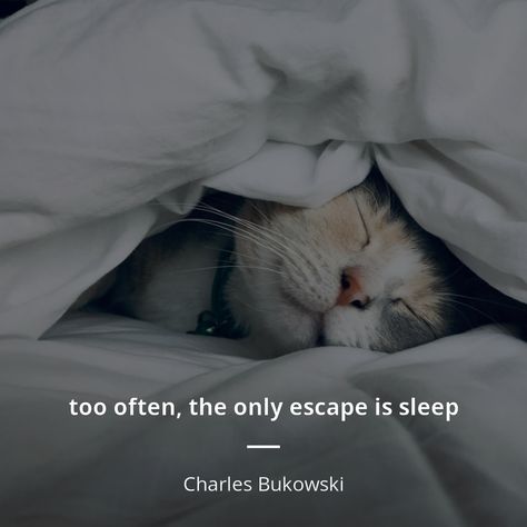 My Escape Quotes, Quotes On Sleep, Sleep Is My Escape Quotes, Sleep Escape Quotes, The Only Escape Is Sleep, Quotes About Sleep, Cannot Sleep Quotes, Escape Quotes, Can’t Sleep Quotes Stop Thinking