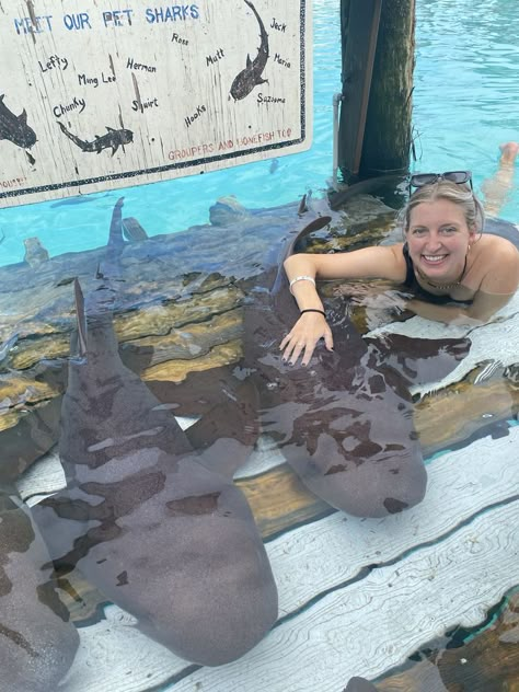 Bahamas Swimming With Sharks, Swimming With Nurse Sharks, Nurse Shark Aesthetic, Bahamas Sharks, Swimming With Sharks, Respect The Locals, Leopard Shark, Shark Stuff, Ocean Stuff