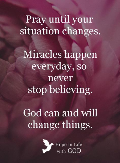 God Does Miracles Quotes, God Never Changes, Miracles Happen Everyday, Never Stop Believing, Miracle Quotes, Inspirational Quotes Encouragement, Vision Board Quotes, Quotes Encouragement, Board Quotes