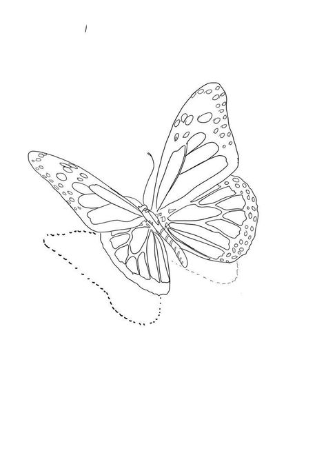 Butterflies Coloring Pages, Butterfly Drawing Outline, Atrapasueños Tattoo, Hexagon Tattoo, Butterfly Tattoos Images, Borboleta Tattoo, Butterfly Tattoo Stencil, 3d Butterfly Tattoo, Butterfly Art Drawing