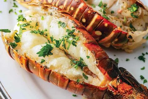 Grilled Lobster Recipes, Grill Lobster Tail Recipe, Grilled Beef Tenderloin, Grilled Lobster Tail, Frozen Lobster, Live Lobster, Lobster Recipes Tail, Lobster Dinner, Grilled Lobster