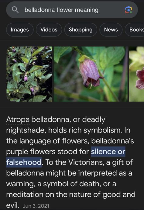 Bella Donna Flower, Dreamcore Character, Poisonous Herbs, Deadly Flowers, Belladonna Flower, Nightshade Flower, Nightshade Plant, Wild Kingdom, Flower Meanings