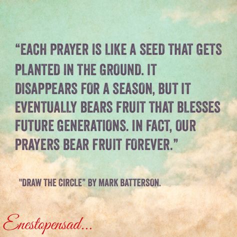 Prayers bear fruit forever.   "Draw the Circle: The 40 Day Prayer Challenge" by Mark Batterson. Mark Batterson Quotes, Morning Meditations, Mark Batterson, Prayer Challenge, Power Thoughts, Dream Boards, Prayer Circle, Christian Authors, Prayer For Church