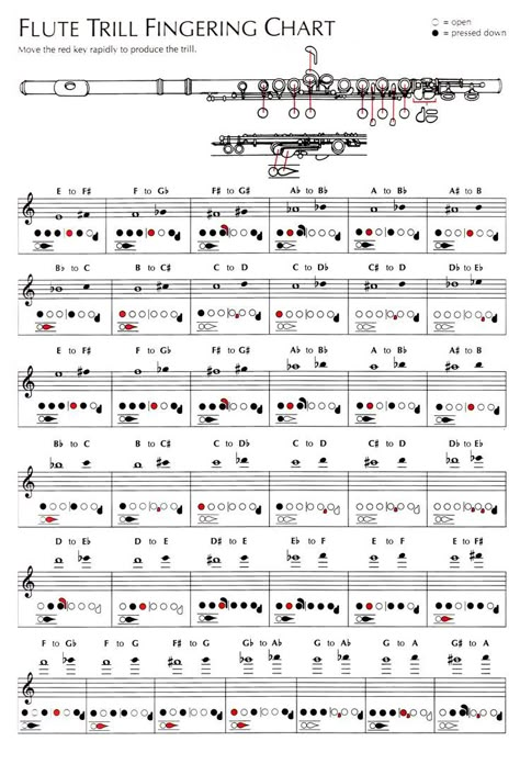 Flute Fingering Chart, Flute Lessons, Reading Sheet Music, Marching Band Humor, Band Jokes, Flute Player, Flute Sheet Music, Band Nerd, Music Nerd