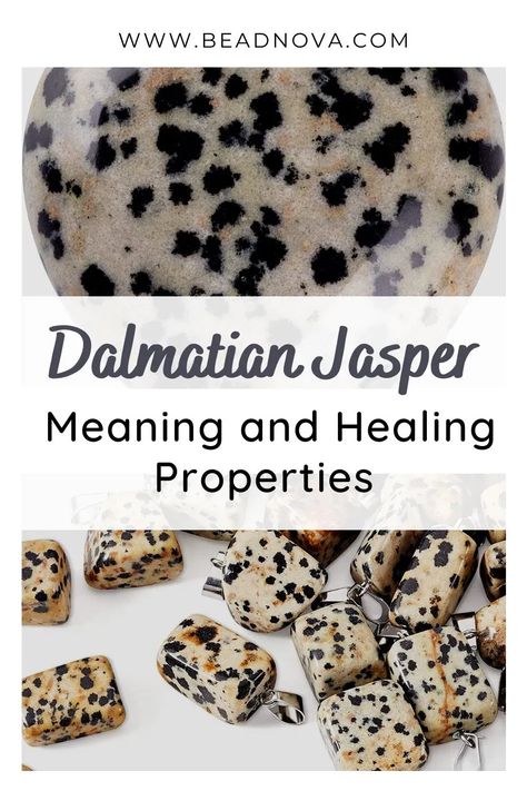 Dalmatian Jasper Crystal Meaning, Dalmatian Jasper Meaning, Gem Meaning, Jasper Meaning, Crystals Energy, Dalmatian Stone, Spiritual Awakening Signs, Crystal Guide, Crystal Aesthetic