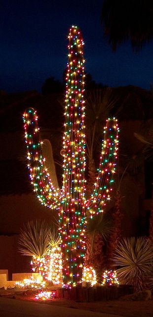 Arizona Christmas Tree...the person that looks like a pincushion is the person that strung these lights! Ouch!  Un arbre de Noel d'Arizona... si vous croisez une personne qui a l'air d'un coussin à épingles, c'est qu'elle a dû placers toutes les ampoules de ce cactus Joshua Tree Christmas, Arizona Christmas, Desert Christmas, Christmas Cactus, Noel Christmas, 2d Art, Christmas Joy, Christmas Cheer, Christmas Magic